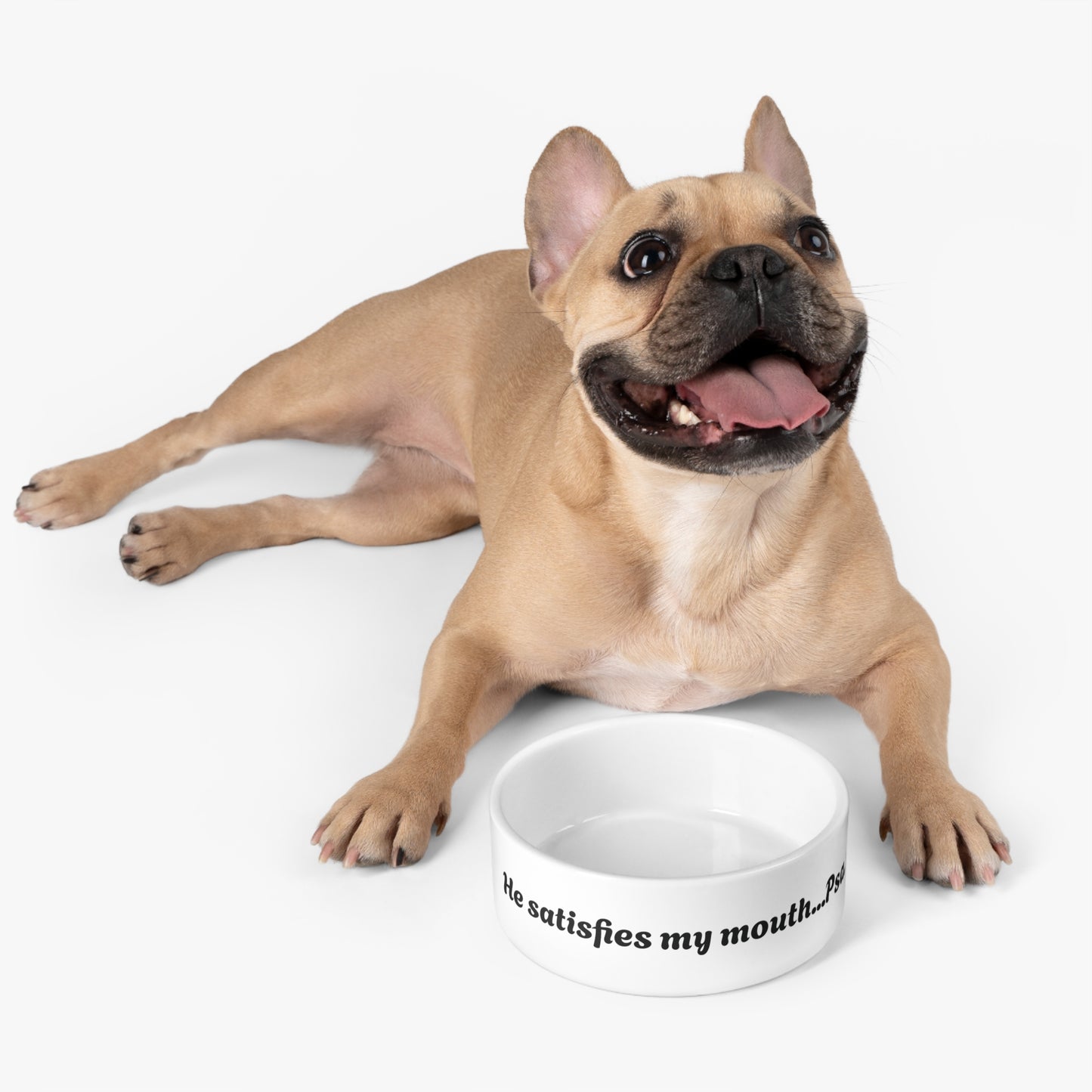 Pet Bowl He Satisfies My Mouth
